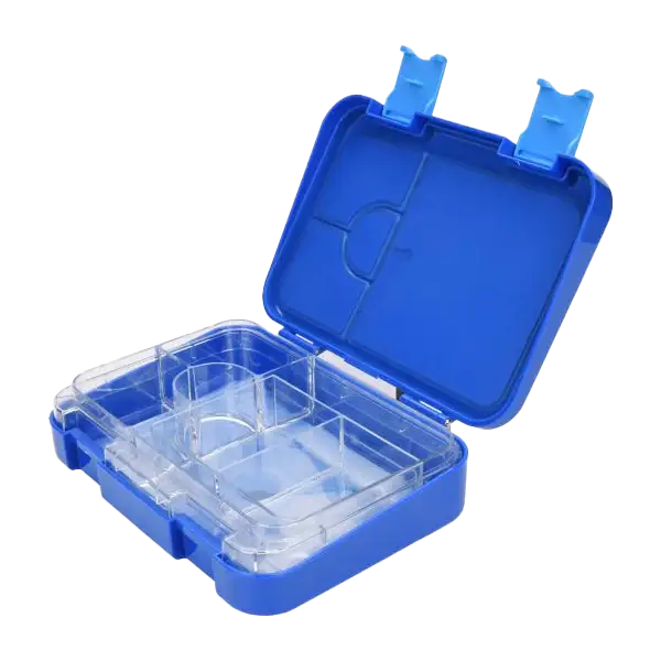 Bento Box Blueberry - Image 2