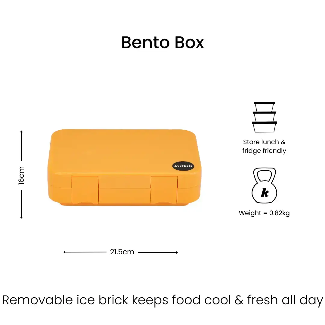 Bento Box Mango - Image 7